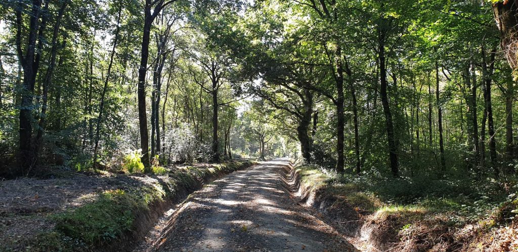 Ballades à pied autour des chambres d'hôtes de la Métairie
